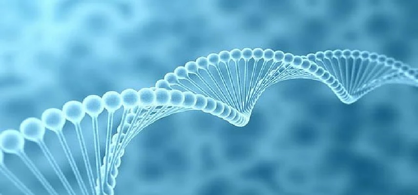 Ricoh & ERS Genomics Collabs in US and Japan for CRISPR/Cas9